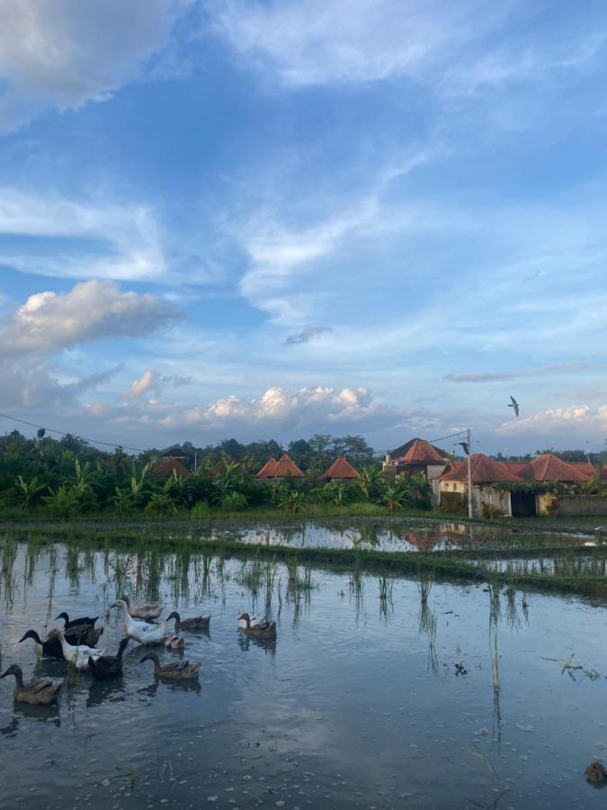 Villa Jepun Ubud Exteriör bild